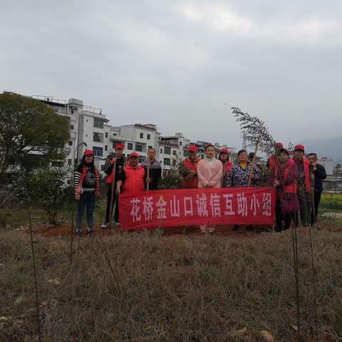 栽树忙一天，利益得百年