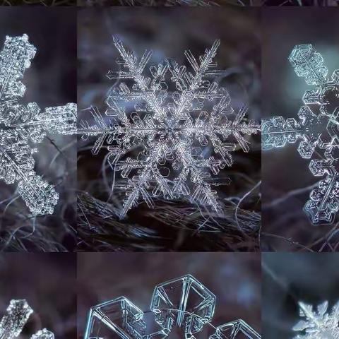 城阳二园小一班《小雪花》