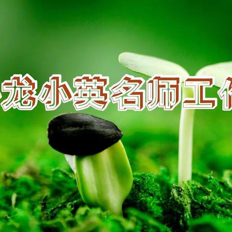 聚焦话题、立足语篇、关注思维、凸显能力--王小龙名师工作室开展小学英语语篇教学主题讲座