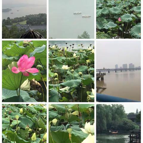 雷锋的妹妹叫雷雨的美篇