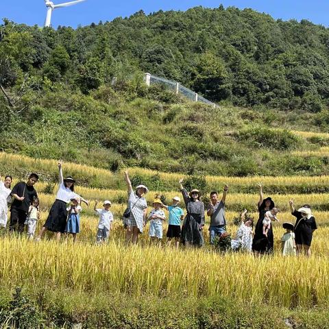 一草一人生，用摄影记录美好，用心留下岁月的一帧，稻田里，小溪旁，风车边，猕猴桃树下，我们一起，秋波荡漾…