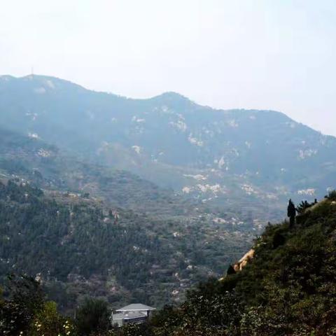 深深地思念……（原创）