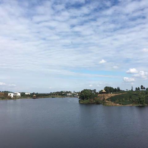 “浪漫茶乡”名山月亮湖