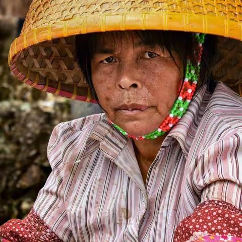 汗水浇出的美食! ——惠东铁涌赤岸蠔