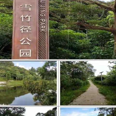 雪象体育公园二期建设工程（监理周报10.16-10.22）