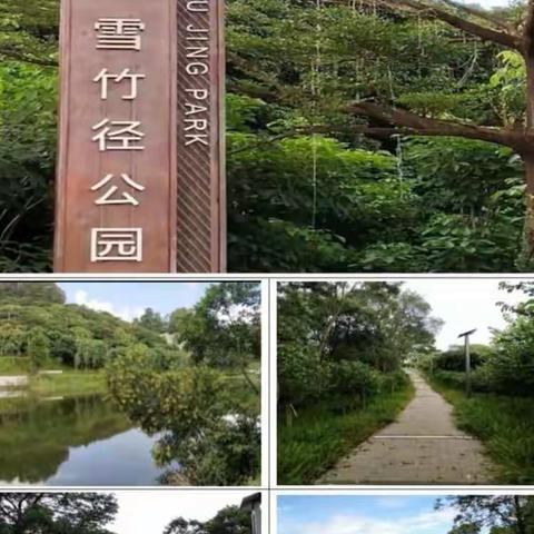 雪象体育公园二期建设项目（监理周报09.25-10.01）