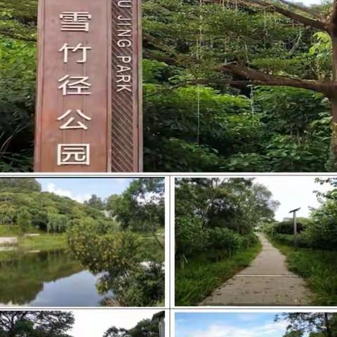 雪象体育公园二期建设项目监理周报（11.06-11.12）