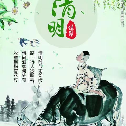 “清明时节话清明”——中一班清明节主题活动🍃