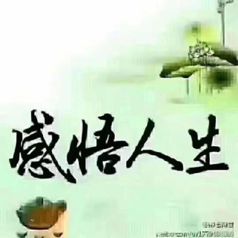  起 航的美篇