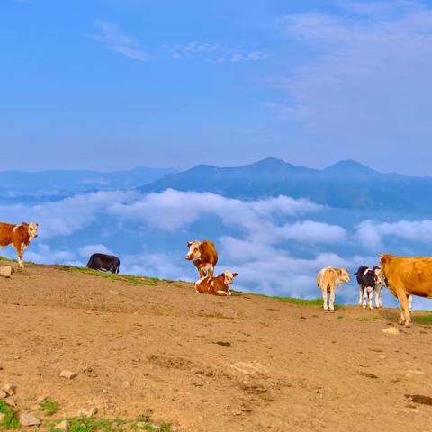 涿鹿之野，灵山之上