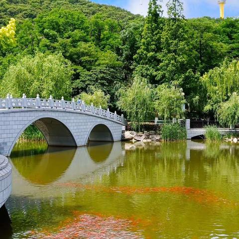 老同学相约植物园