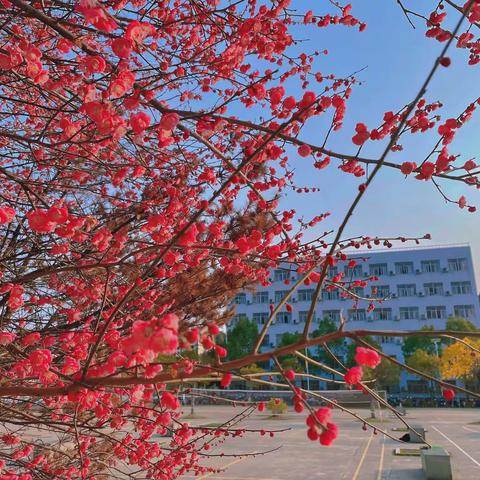 春暖花开日，正是读书时——德兴市高中英语圆梦工作室召开英语阅读推进会