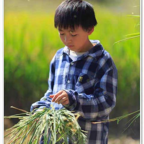 孩子你是那最美人间四月天！