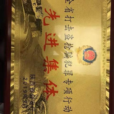 高新分局荣获全省“三打击一整治”专项行动先进集体