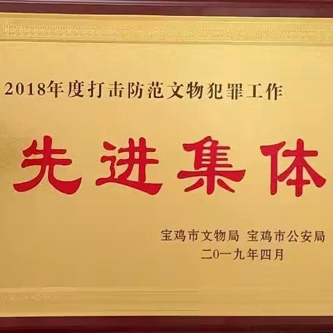 高新刑侦大队荣获“2018年度打击防范文物犯罪”先进集体