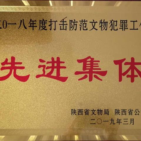 高新分局刑侦大队荣获2018年度全省打击文物犯罪工作先进单位