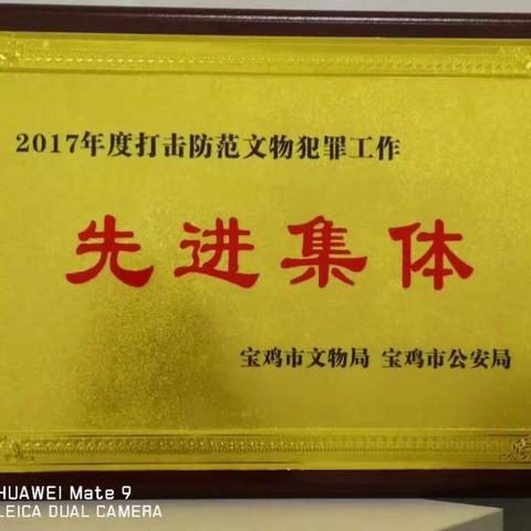 高新分局刑侦大队荣获2017年度打击文物犯罪先进集体