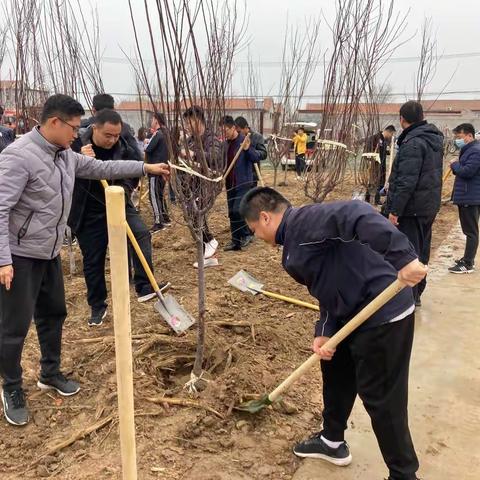 回河街道北郭管区植树节活动
