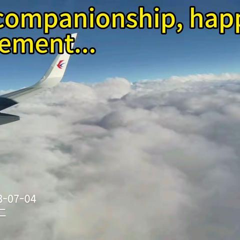 Love, companionship, happiness, achievement...