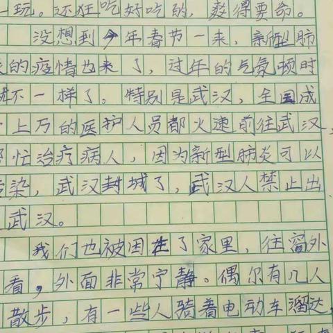 张轩荣假期特色作业分享