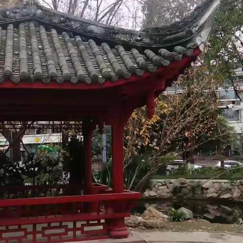 霜雪压梅催芳蕊，梅花怒放香满园