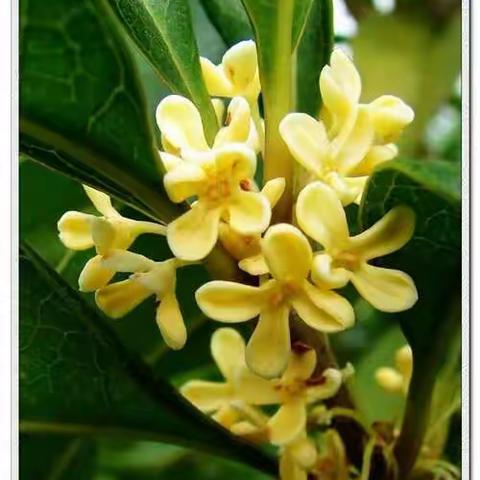 箐桥完小“未来英才夏令营”第九天--阳光暑假突破一夏……