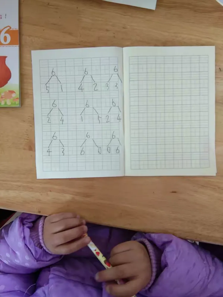 今日所学:趣味数学《6的分解与组成》