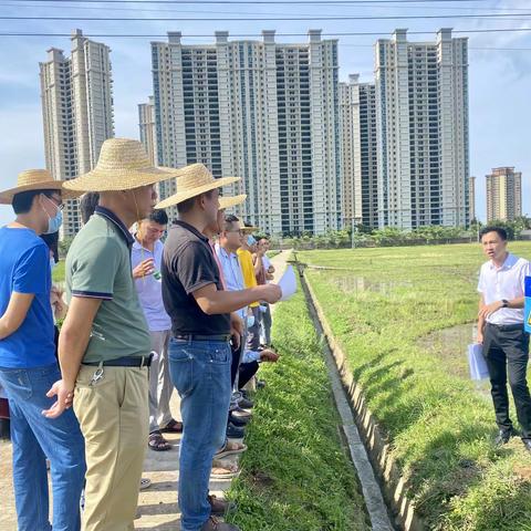 能力提升建设年｜陵水县农业农村局召开高标准农田管护现场会暨审计整改推进会