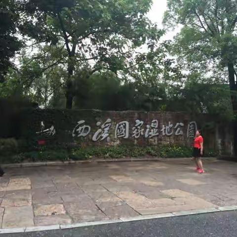 宁静的西溪湿地