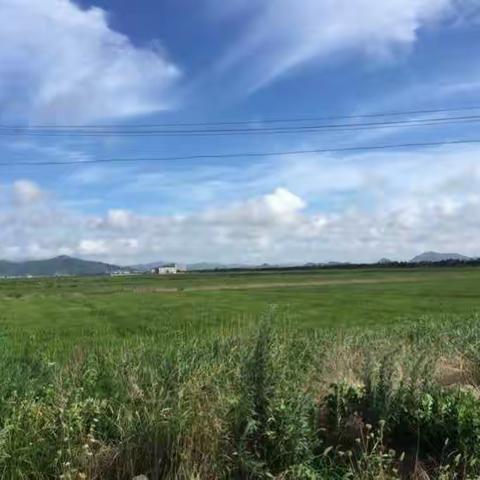 一个初见成效的海绵社区样本----浙江省温岭市东部新城