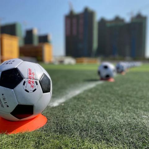 送教基层互成长    校园足球齐发展——2019年广东省教育研究院校园足球送教下基层和宣讲活动（陆丰站）