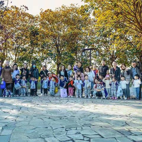舒蓓尔幼儿园小二班宝贝11月成长记录🍁🍁🍁