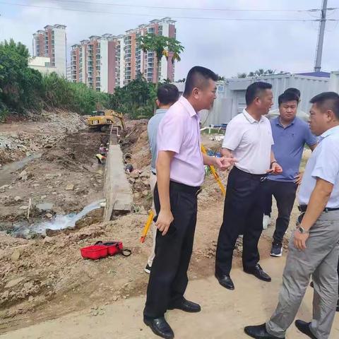 琼海市副市长符展调研双沟溪达标治理项目推进情况