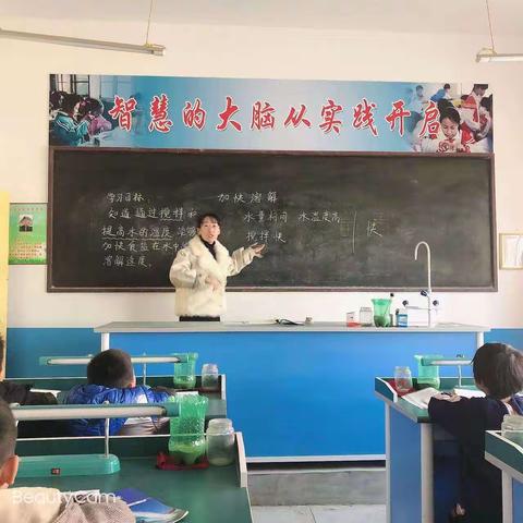 三年级科学《加快溶解》