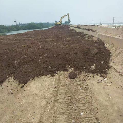 海口市桂林洋防潮堤加固工程工作日报
