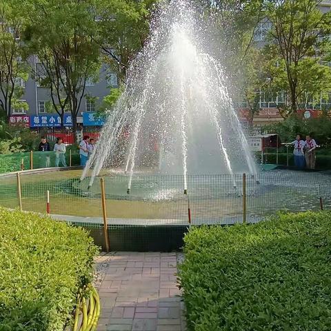 半亩方塘鱼儿游                                               人与自然共和谐—记贺兰二小综合实践课掠影