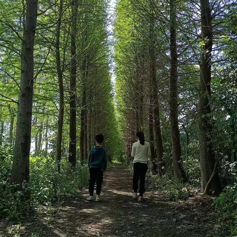 走进大自然 ——管文杰