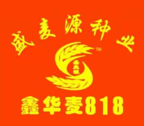 瑞星的美篇