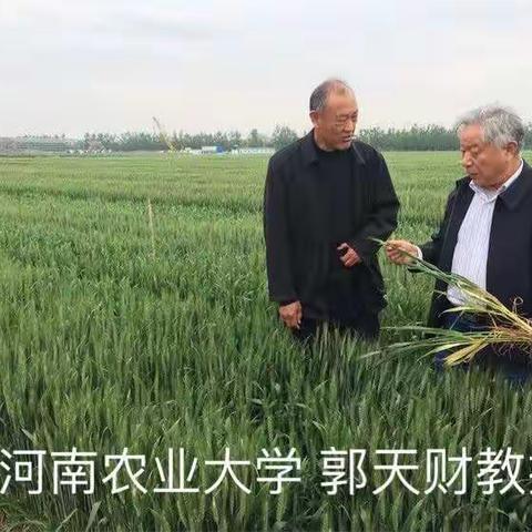 瑞星的美篇
