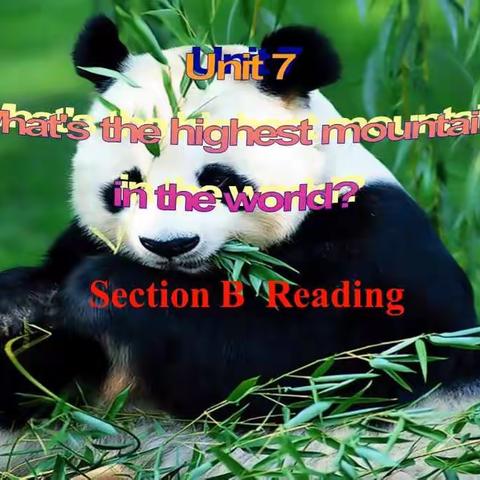 八下section B reading