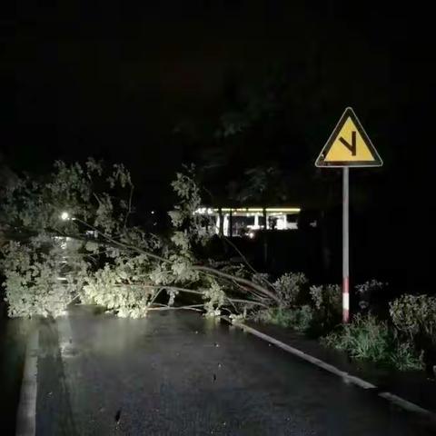 市公路局组织人员冒雨连夜清理暴雨灾害损毁路段确保恶劣天气干线公路畅通