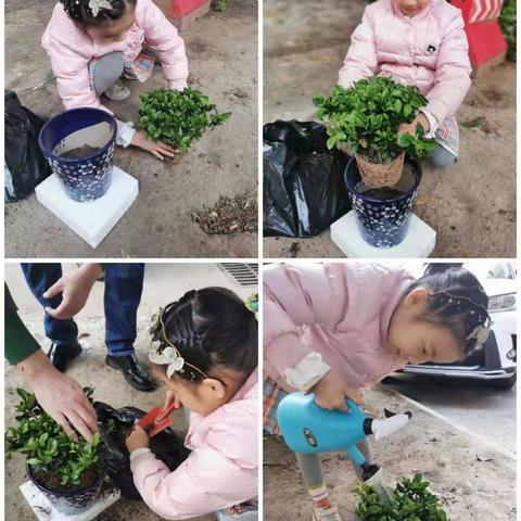 二（5）中队向日葵小队-从我做起，爱护大自然的一草一木