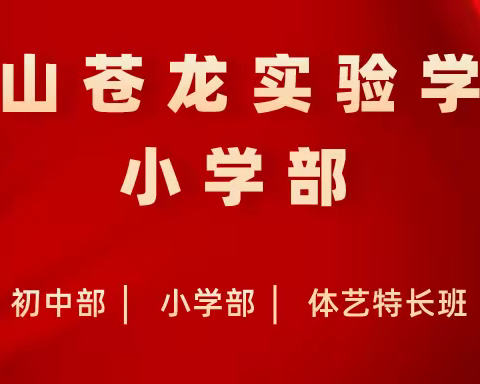 传承民俗文化，感受年滋年味——唐山苍龙实验学校小学部“寻找温馨年味”主题实践活动掠影