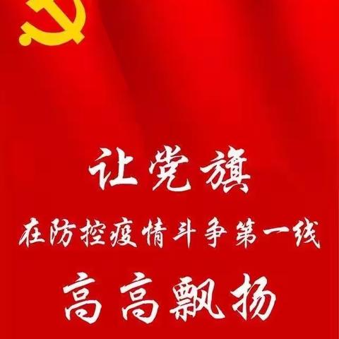 抗击疫情，基层党员在行动