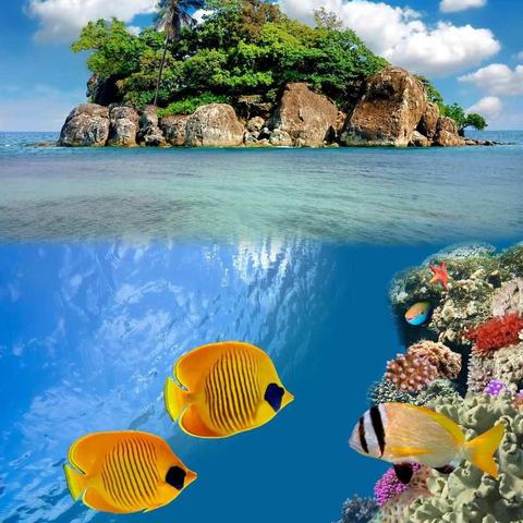 朗诵∥面朝大海  春暖花开