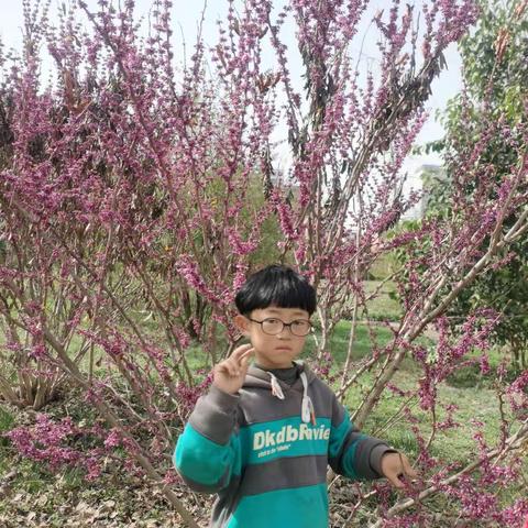 记录春天的足迹