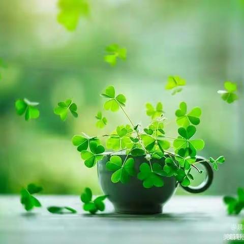 研学路上   静待花开