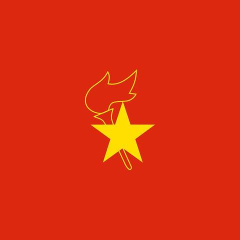 潘新小学少先队知识培训活动