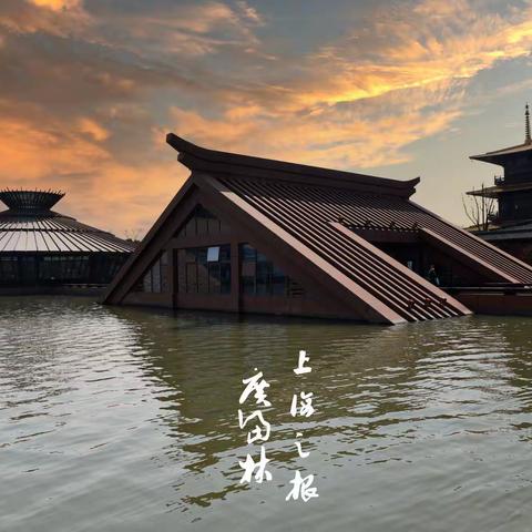 梅花春韵广富林