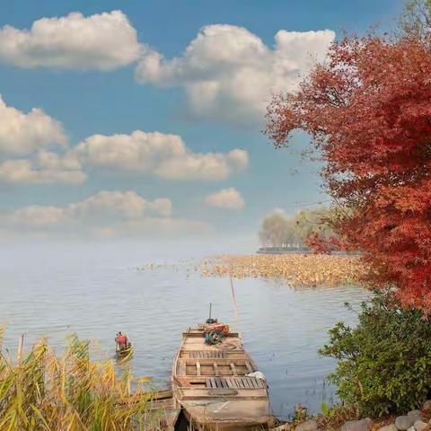 上海青西郊野公园掠影